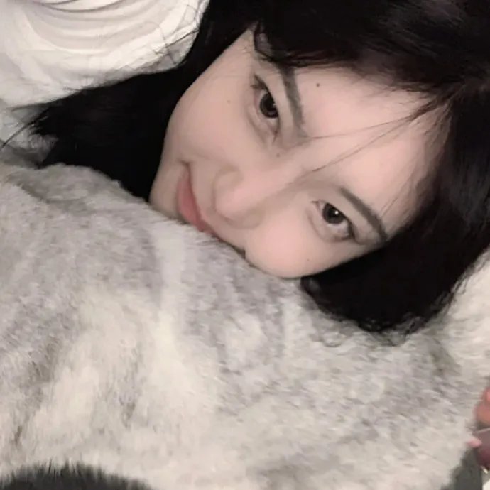 猫侍剧场版